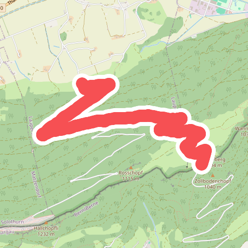 Schwängimatt - Burgmätteli