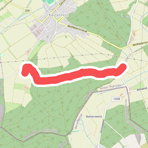 Ober Schweissacher - Im Holz