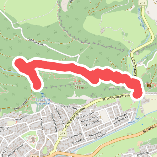 St. Wolfgang - fixme