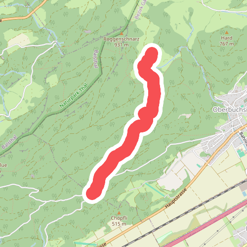 Buchsiter Alp - Buchsiterrank