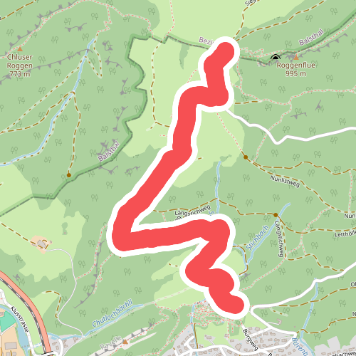 Neu Bechburg - Roggenweid