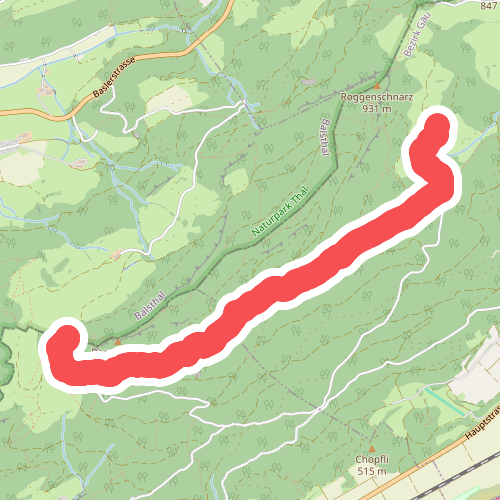 Roggenweid -Buchsiter Alp