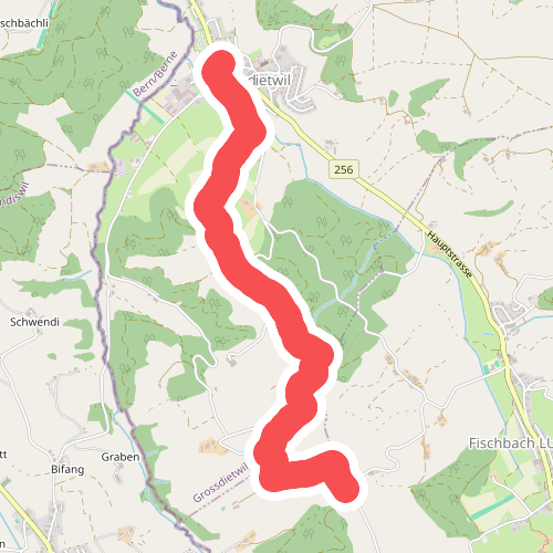 Grossdietwil - Schwandmatt