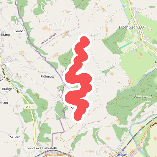 Schönetüel - Schwandmatt