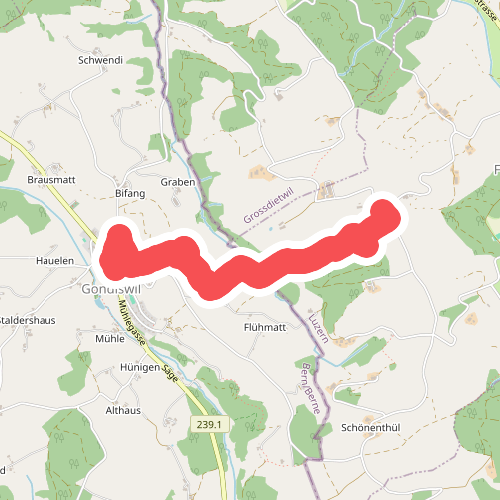 Schwandmatt - Gondiswil