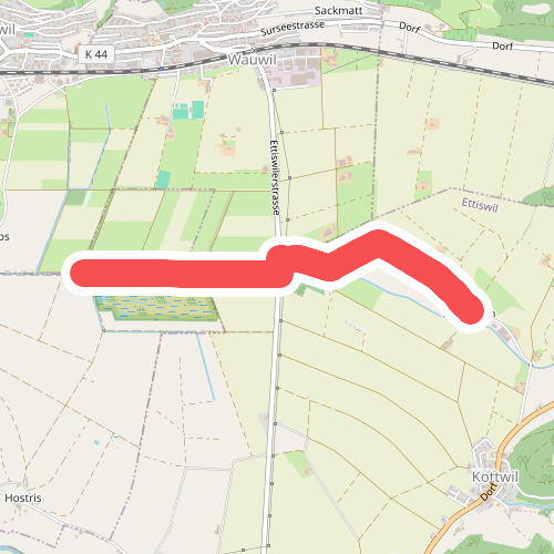 Seewagen - Wauwilermoos