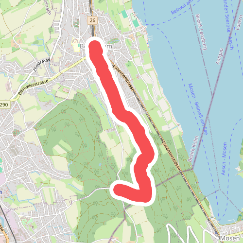 Beinwil am See - Breitholz