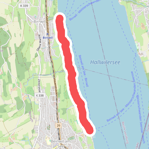 Birrwil am See - Beinwil