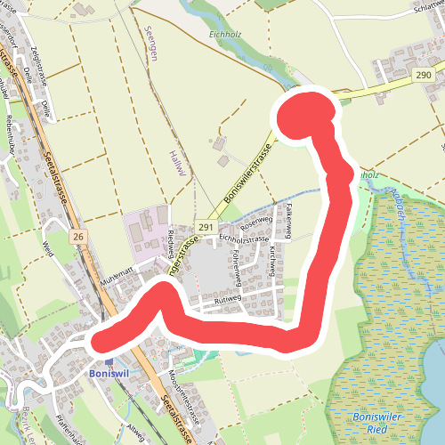 Boniswil - Schloss Hallwil