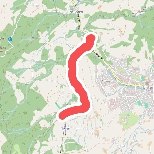 Mülischwändi Brücke - Boden