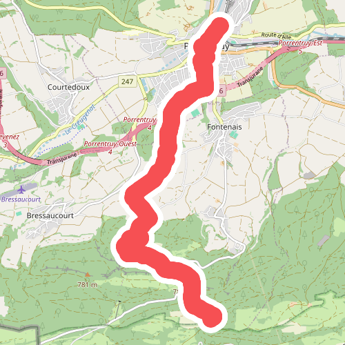 Porrentruy-Les Chainions