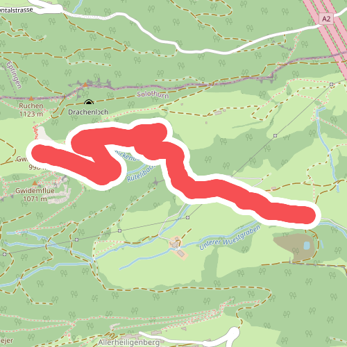 Gwidemhöchi - Fasiswald