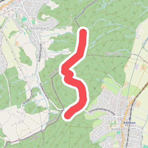 Im Tann - Kölliker Tann