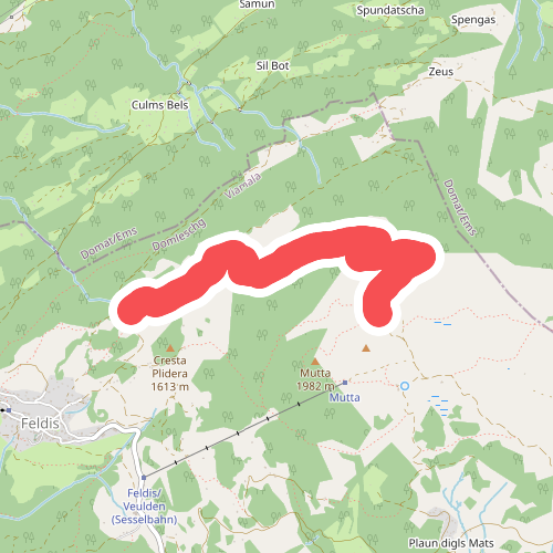 Plaun Graund - Alp da Veulden