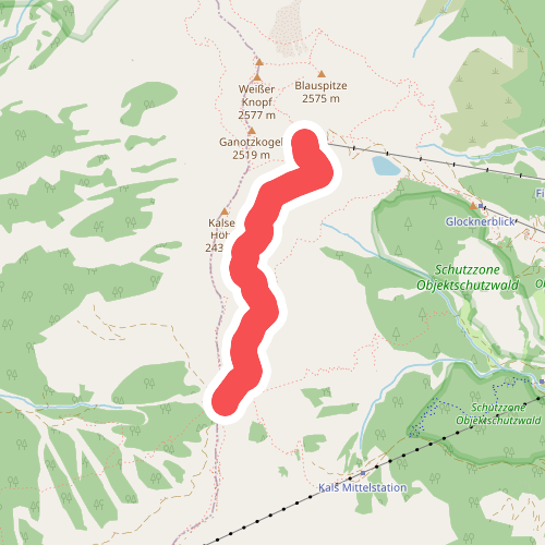 Leben in Schnee und Eis