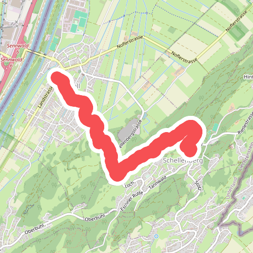 Mittlerer Schellenberg - Brueechliswald - Ruggell