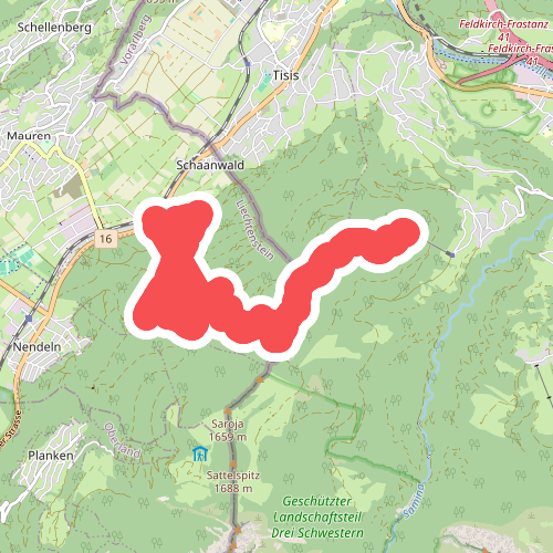 Feldkircher Huette (A) - Schaanwald