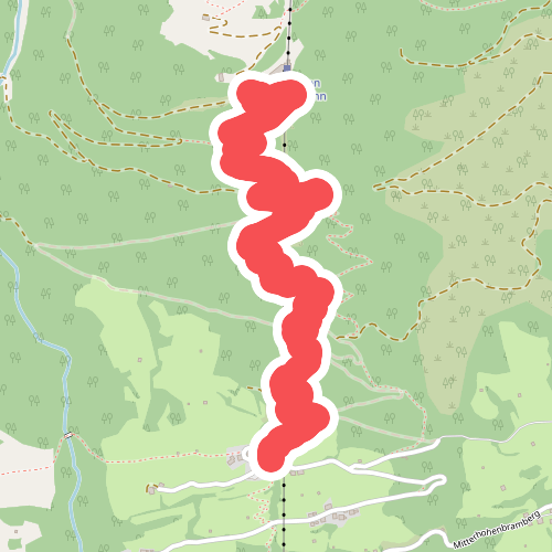 Rutschenweg Wildkogelarena