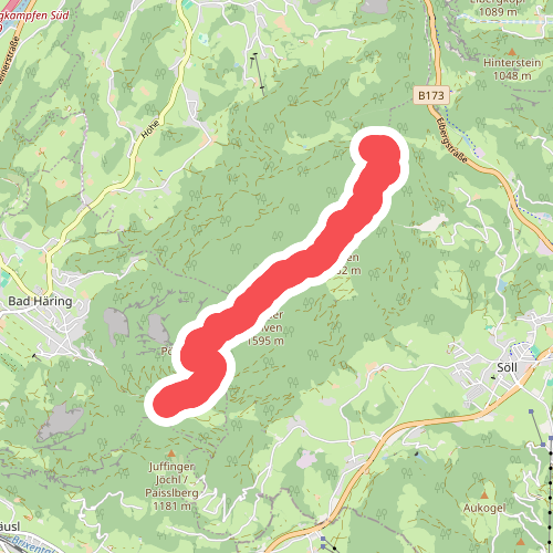 Prof. Rudolf Sinwel Steig - Pölven