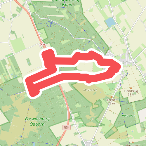 DW4D Dag 4 - 10km - 2026