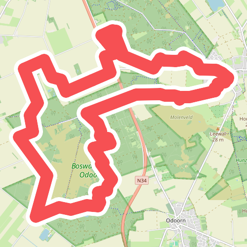 DW4D Dag 4 - 20km - 2026
