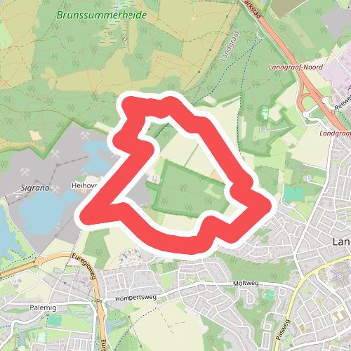 Brunssummerheide Paars NM5 Brunssum