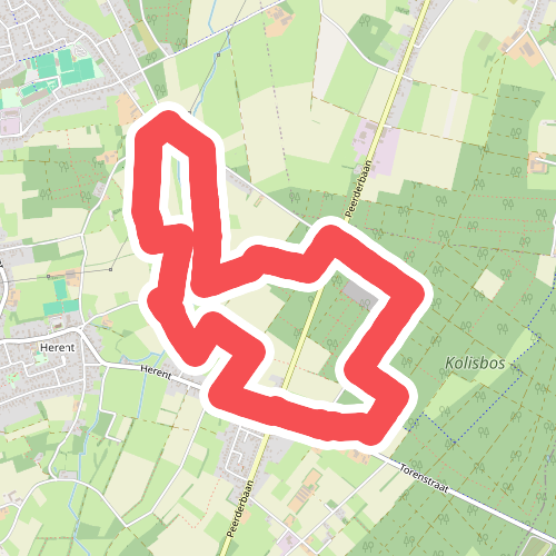 De Groote Heide: Kolisbos - Rood