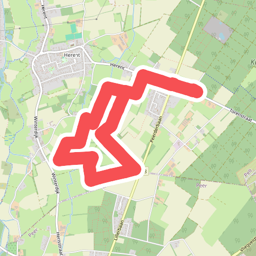 De Groote Heide: Kolisbos - Oranje