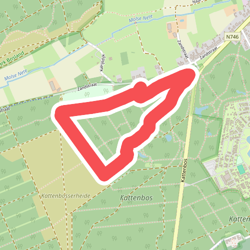 Kattenbos - Groen (Vlinderwandeling)