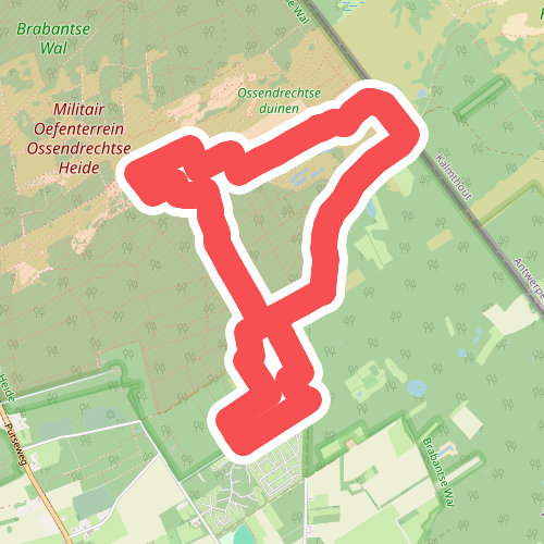 Kalmthoutse Heide - Mier