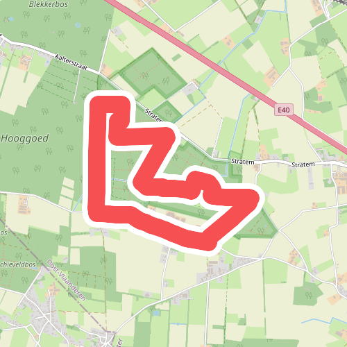 Door De Bossen Van Maria-Aalter