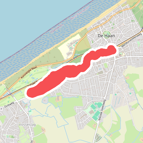 De vos... in het bos!