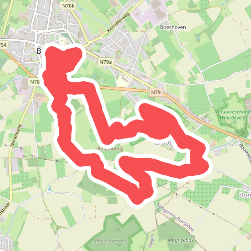 Greenspot Grootloon (Oranje lus)