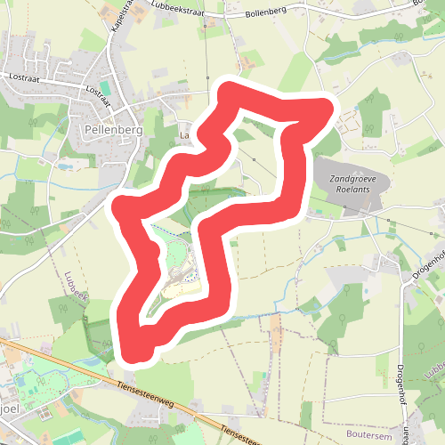 Koeboswandeling oranje