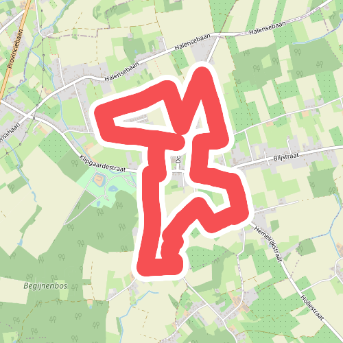 Torendraaierswandeling