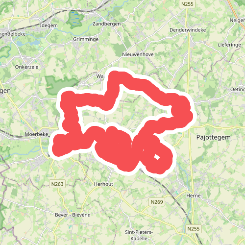 Ringmuswandeling zwart