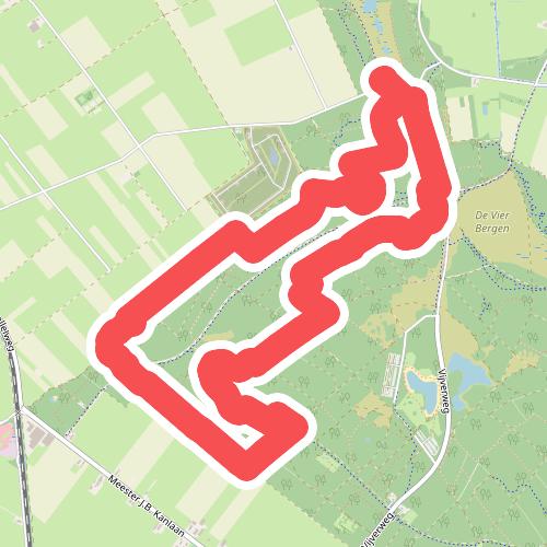 Zwarte Venen - Oranje