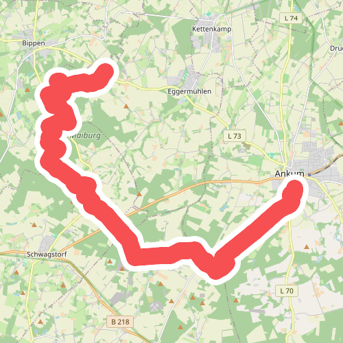 Ankum - Restruper Hünengrab · Hondsrugpad/Hunenweg etappe 5