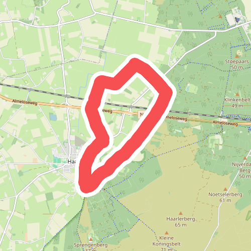 Sprengenberg - Paars