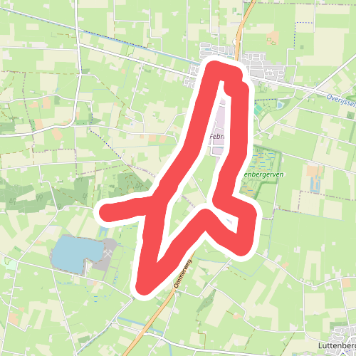 Krieghuisbelten - Paars