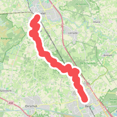 Hart Van Het Groene Woud